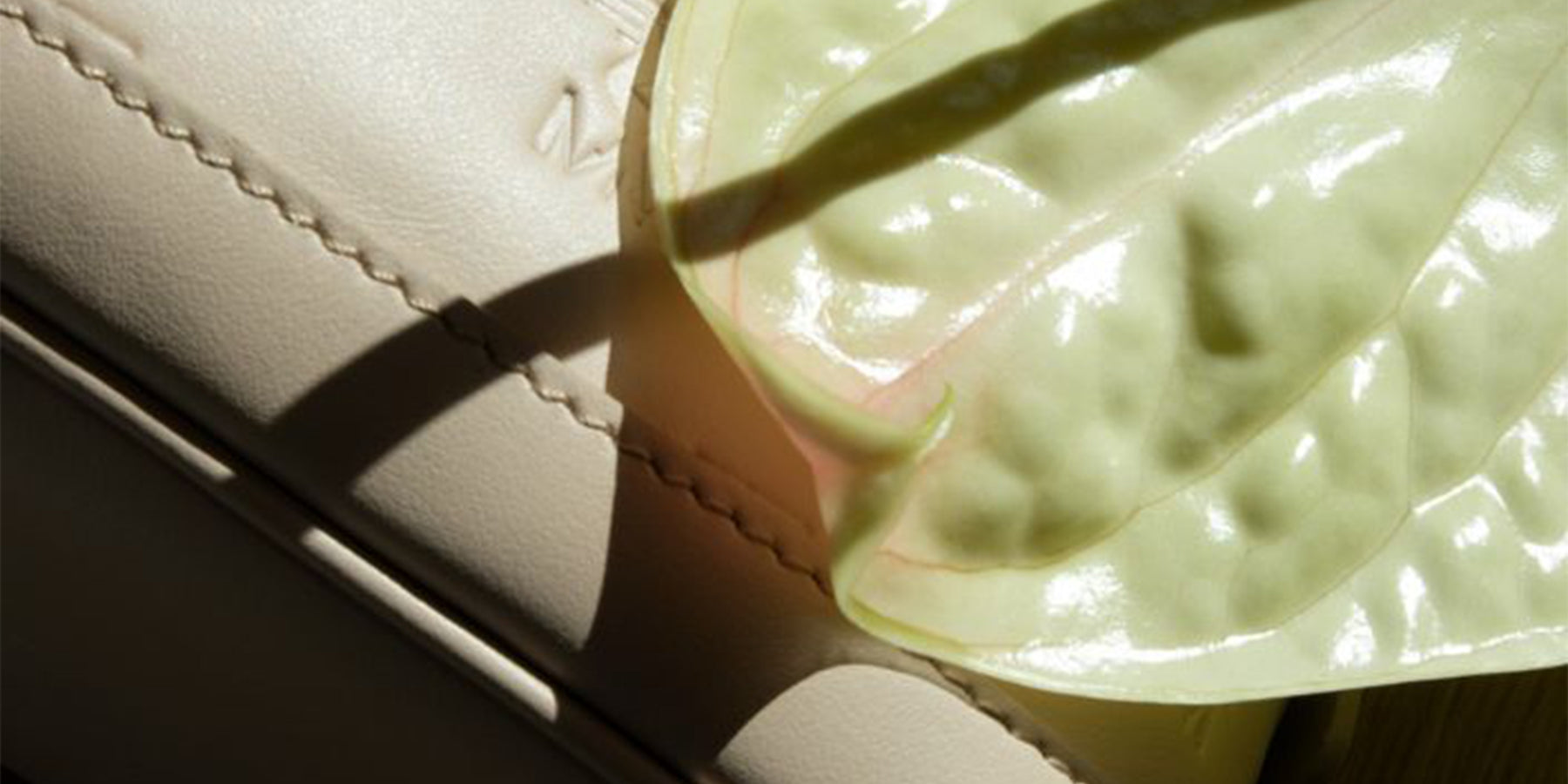 Kollektion in Stampato Vanilla beige